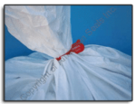 Pull Tight Plastic Seals CrabSeal Application